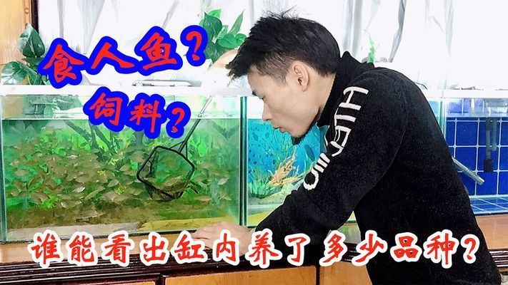 防止魚缸生態(tài)失衡的方法：如何保持魚缸生態(tài)系統(tǒng)穩(wěn)定 水族雜談 第2張