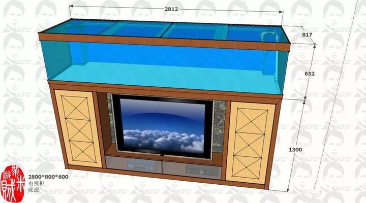 寵物魚缸電視機(jī)功能介紹：寵物魚缸電視機(jī)使用體驗(yàn) 水族雜談 第3張