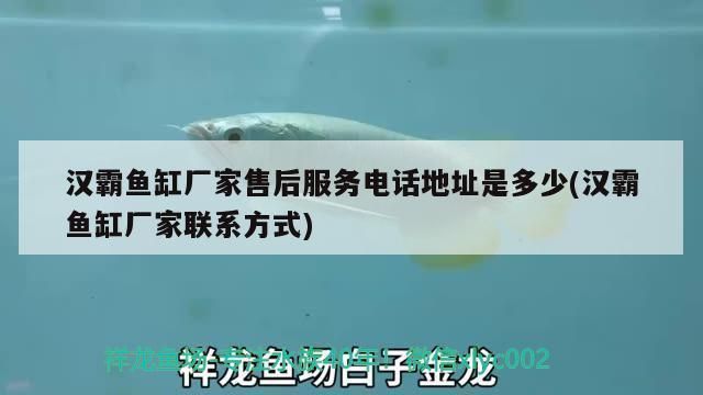 海霸魚(yú)缸官方售后服務(wù)時(shí)間：海霸魚(yú)缸產(chǎn)品保修期多久，如何聯(lián)系海霸魚(yú)缸客服 水族雜談 第1張