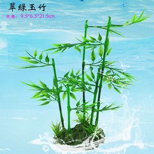 E系列魚缸裝飾效果展示：e系列魚缸裝飾展示了獨特的效果，與e系列魚缸裝飾效果展示 水族雜談 第3張