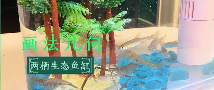 C500魚缸兩棲生態(tài)設(shè)計(jì)案例：c500魚缸設(shè)計(jì)案例研究探討c500魚缸的設(shè)計(jì)理念 水族雜談 第4張