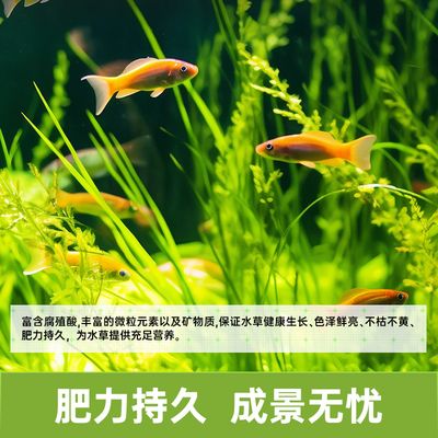 BESSN貝森魚(yú)缸促銷(xiāo)信息：2024年bessn貝森魚(yú)缸促銷(xiāo)情況 水族雜談 第3張