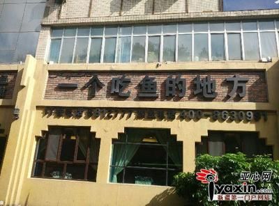 烏魯木齊哪里賣龍魚：烏魯木齊觀賞魚店推薦, 全國龍魚店鋪 第5張