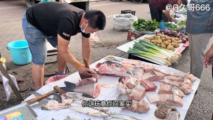 佳木斯哪里賣龍魚：佳木斯售賣龍魚的地點主要集中在花鳥魚市場和水族器材專賣店 全國龍魚店鋪 第5張