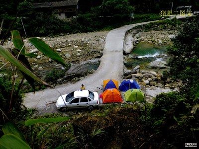 元寶山哪里賣龍魚(yú)：元寶山哪里賣龍魚(yú)的查詢，元寶山龍魚(yú)養(yǎng)殖技術(shù)要點(diǎn) 全國(guó)龍魚(yú)店鋪 第5張