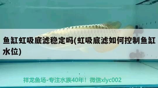 德江哪里賣(mài)龍魚(yú)：德江縣龍魚(yú)市場(chǎng)