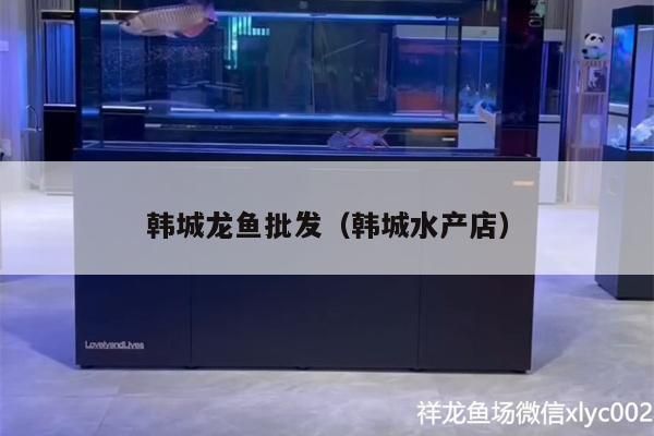 定結哪里賣龍魚：定結哪里賣龍魚？定結水族館購買指南 全國龍魚店鋪 第1張