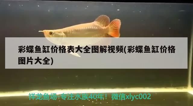 佳木斯彩鰈魚缸專賣店：佳木斯彩鰈魚缸專賣店的經(jīng)營策略 彩鰈魚缸（彩蝶魚缸） 第3張