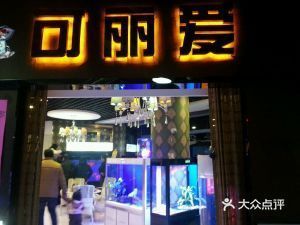 南寧可麗愛魚缸專賣店：南寧可麗愛魚缸專賣店怎么樣 彩鰈魚缸（彩蝶魚缸） 第2張