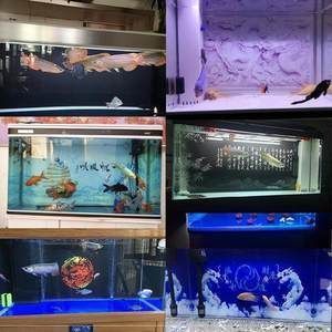 烏海森森魚缸專賣店：烏海市森森魚缸專賣店