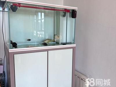 嘉興彩鰈魚缸專賣店 彩鰈魚缸（彩蝶魚缸） 第5張