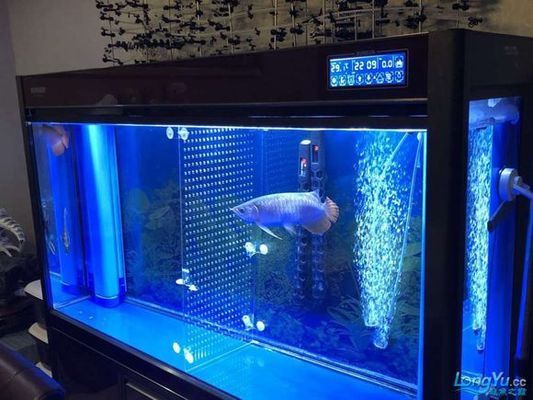 楚雄彝族自治州彩鰈魚缸專賣店：楚雄彝族自治州彩鰈魚缸專賣店位于云南省的一個(gè)少數(shù)民族自治州