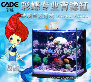 蘇州彩鰈魚缸專賣店：蘇州市彩鰈魚缸專賣店 彩鰈魚缸（彩蝶魚缸） 第2張