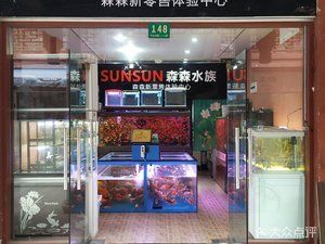 定西森森魚缸專賣店：定西市森森魚缸專賣店提供魚缸及水族相關產(chǎn)品的零售店鋪