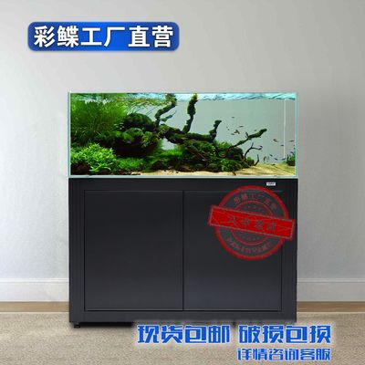 錦州彩鰈魚缸專賣店：錦州彩鰈魚缸專賣店提供全面的魚缸維護和養(yǎng)護服務(wù)