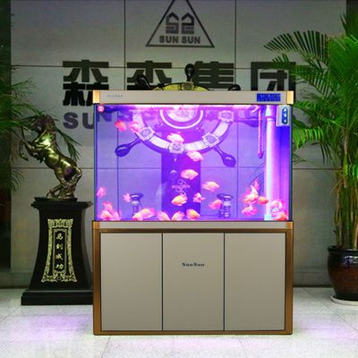 瀘州森森魚缸專賣店：瀘州森森魚缸專賣店怎么樣 彩鰈魚缸（彩蝶魚缸） 第4張