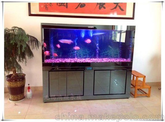 無錫可麗愛魚缸專賣店：無錫可麗愛魚缸專賣店信息 彩鰈魚缸（彩蝶魚缸） 第2張