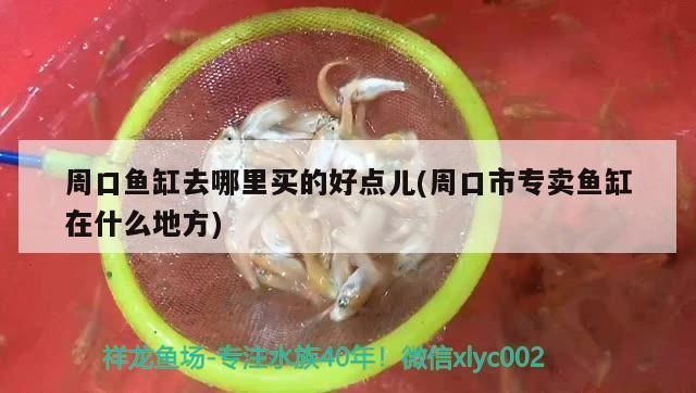 海西蒙古族藏族自治州彩鰈魚缸專賣店：彩鰈魚缸專賣店 彩鰈魚缸（彩蝶魚缸） 第5張