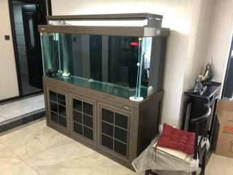 深圳森森魚缸專賣店：深圳地區(qū)森森魚缸專賣店 彩鰈魚缸（彩蝶魚缸） 第5張