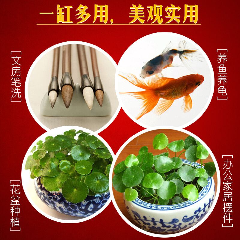 景德鎮(zhèn)森森魚缸專賣店：景德鎮(zhèn)森森魚缸專賣店怎么樣 彩鰈魚缸（彩蝶魚缸） 第4張