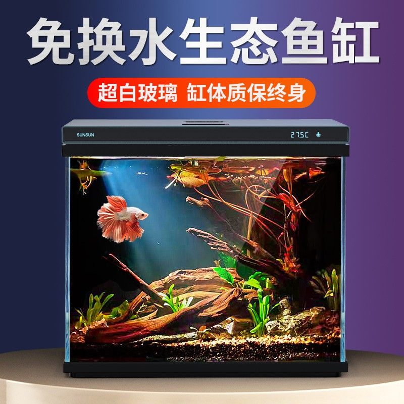 渭南森森魚缸專賣店：渭南森森魚缸專賣店信息 彩鰈魚缸（彩蝶魚缸） 第5張