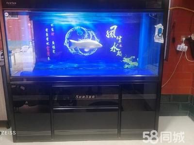 洛陽森森魚缸專賣店：洛陽森森魚缸專賣店怎么樣 彩鰈魚缸（彩蝶魚缸） 第5張