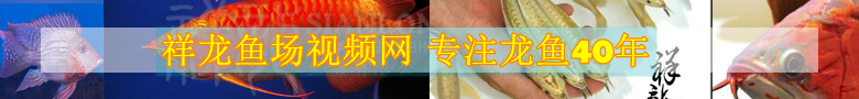 未標(biāo)題-1_副本.png