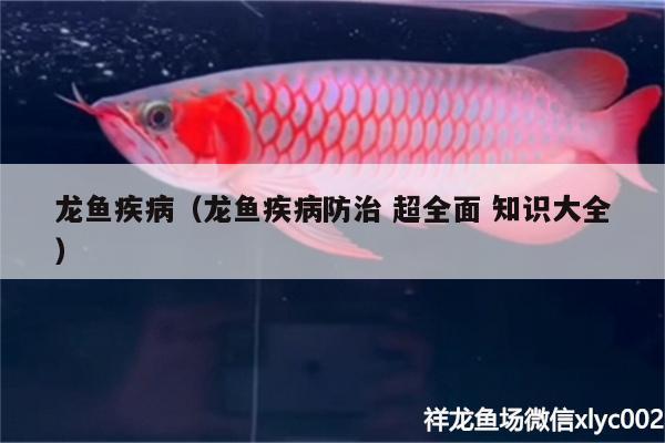 龍魚(yú)疾?。堲~(yú)疾病防治超全面知識(shí)大全） 龍魚(yú)疾病與治療