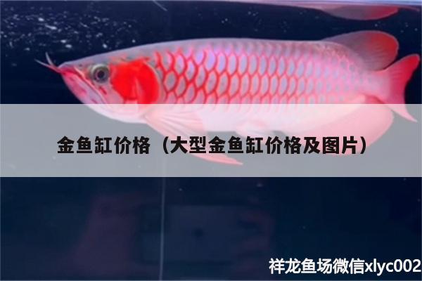 金魚缸價(jià)格（大型金魚缸價(jià)格及圖片）