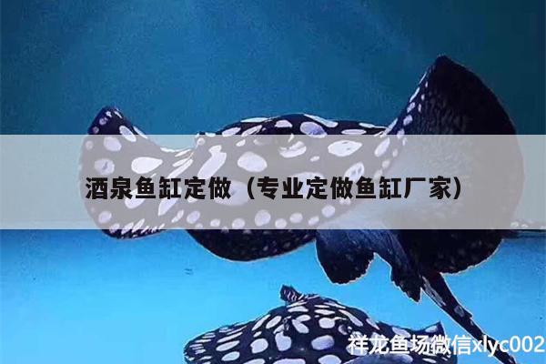 酒泉魚缸定做（專業(yè)定做魚缸廠家）