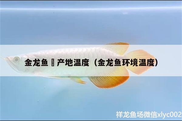 金龍魚(yú)厡產(chǎn)地溫度（金龍魚(yú)環(huán)境溫度）