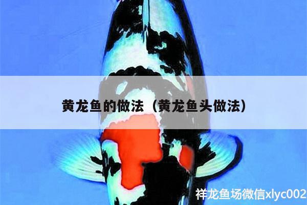 黃龍魚的做法（黃龍魚頭做法）