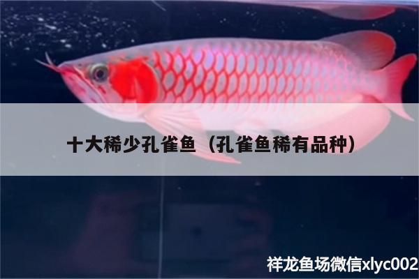 十大稀少孔雀魚(yú)（孔雀魚(yú)稀有品種）