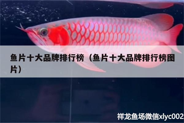 魚片十大品牌排行榜（魚片十大品牌排行榜圖片）