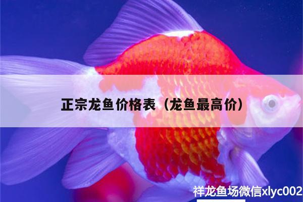 正宗龍魚價格表（龍魚最高價）