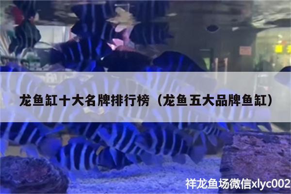 龍魚缸十大名牌排行榜（龍魚五大品牌魚缸） 錦鯉池魚池建設(shè)