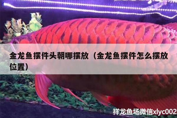 金龍魚擺件頭朝哪擺放（金龍魚擺件怎么擺放位置）