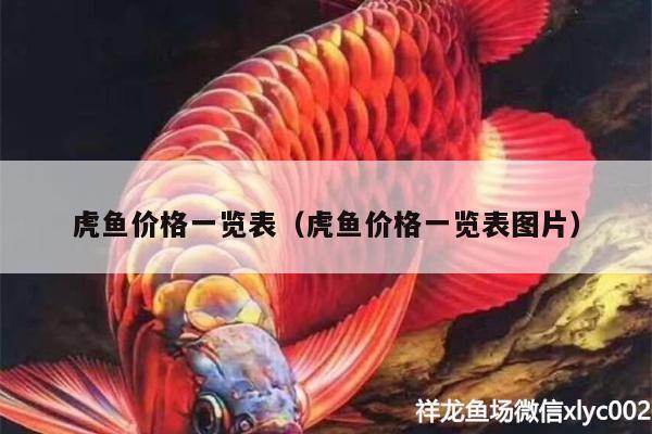 虎魚價格一覽表（虎魚價格一覽表圖片） 虎魚百科