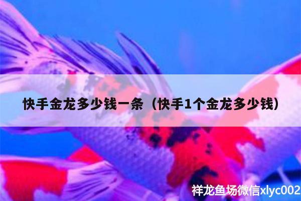 快手金龍多少錢一條（快手1個金龍多少錢） 水族燈（魚缸燈）