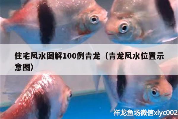 住宅風水圖解100例青龍（青龍風水位置示意圖） 魚缸風水