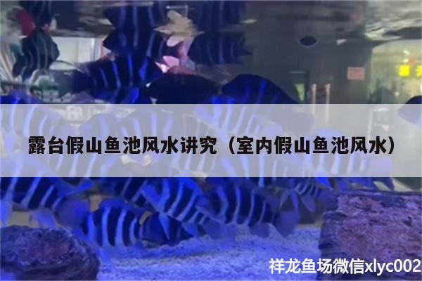 露臺假山魚池風(fēng)水講究（室內(nèi)假山魚池風(fēng)水） 魚缸風(fēng)水