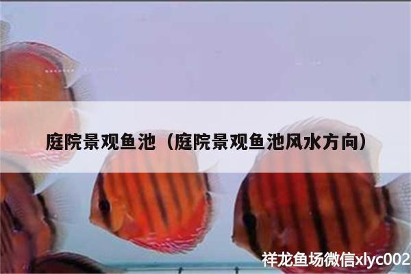 庭院景觀魚池（庭院景觀魚池風(fēng)水方向） 魚缸風(fēng)水