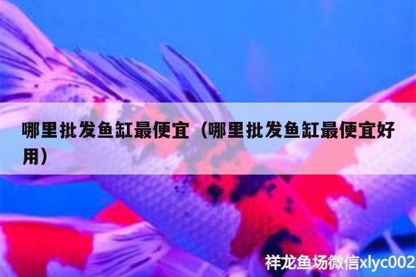 哪里批發(fā)魚缸最便宜（哪里批發(fā)魚缸最便宜好用）