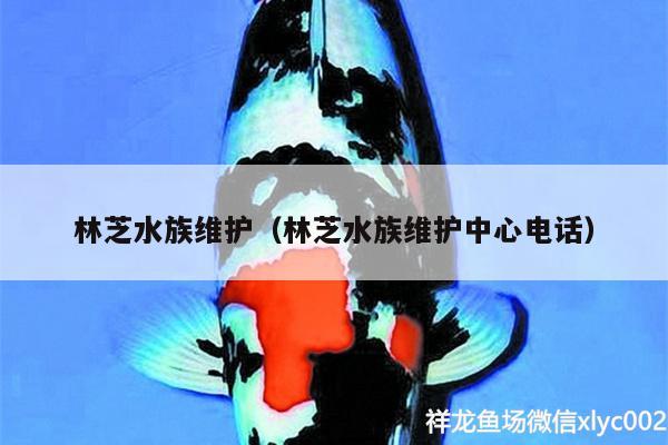 林芝水族維護（林芝水族維護中心電話）