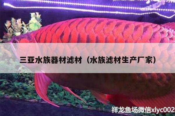 三亞水族器材濾材（水族濾材生產(chǎn)廠家） 錦鯉魚 第2張