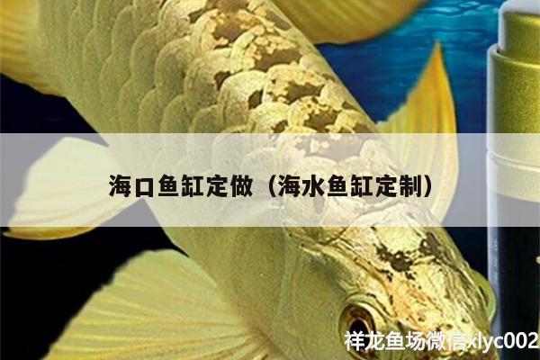 海口魚(yú)缸定做（海水魚(yú)缸定制）