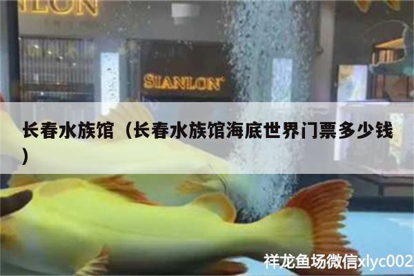 長春水族館（長春水族館海底世界門票多少錢） 魚缸水質穩(wěn)定劑