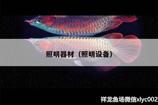 照明器材（照明設(shè)備） 照明器材