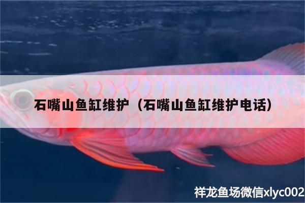 石嘴山魚缸維護（石嘴山魚缸維護電話）