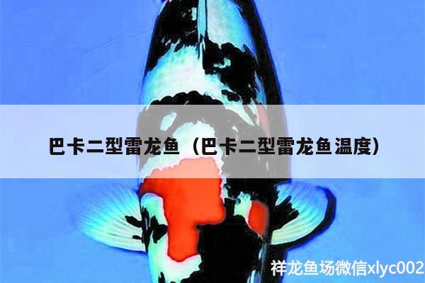 巴卡二型雷龍魚（巴卡二型雷龍魚溫度）